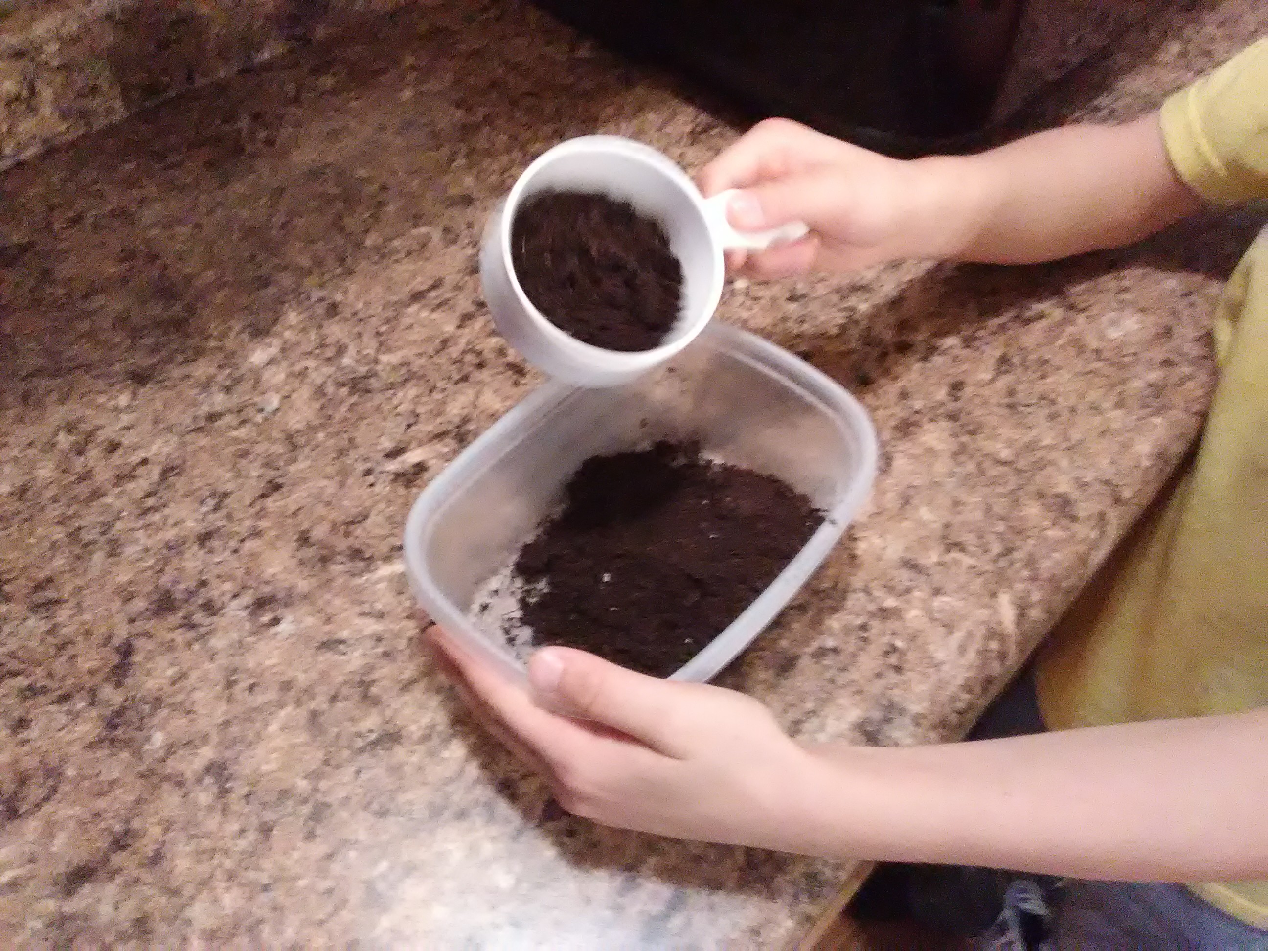 Hand pouring seed-starting mix into a shallow container to prepare for planting microgreens indoors