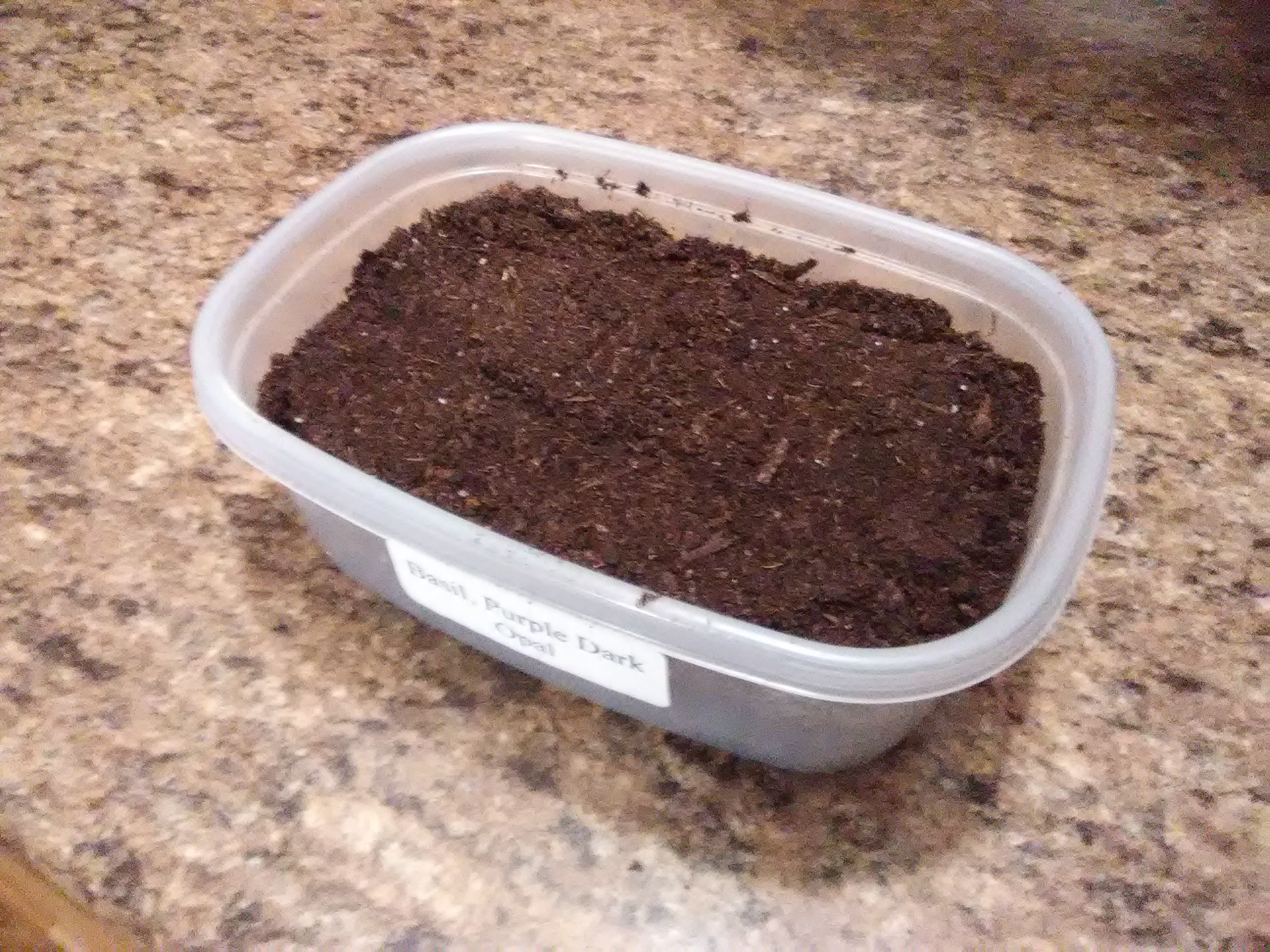 Shallow container filled with seed-starting mix, prepared for sowing microgreen seeds indoors