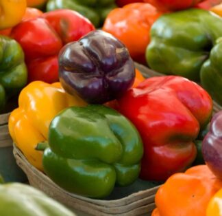 Rainbow Bell Sweet Pepper Blend - St. Clare Heirloom Seeds