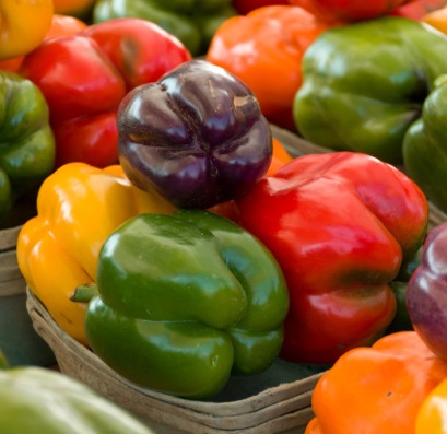 Rainbow Bell Sweet Pepper Blend - St. Clare Heirloom Seeds