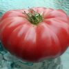 Tomato, Pink and Purple - Beefsteak, Watermelon - -St. Clare Heirloom Seeds