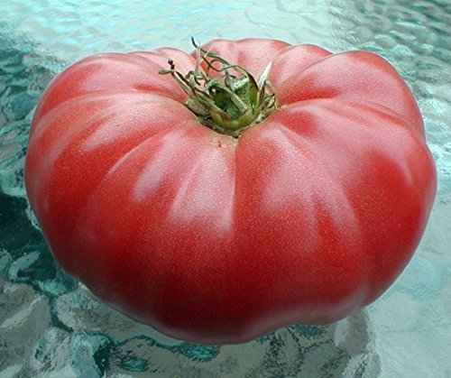 Tomato, Pink and Purple - Beefsteak, Watermelon - -St. Clare Heirloom Seeds