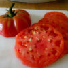 Tomato, Pink and Purple - Beefsteak, Watermelon - -St. Clare Heirloom Seeds