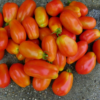 Tomato, Paste - San Marzano - St. Clare Heirloom Seeds