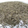 Black Seeded Simpson Microgreen - St Clare Heirloom Seeds