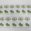 "Heirloom Lettuce Garden Seed Collection – St. Clare Heirloom Seeds"