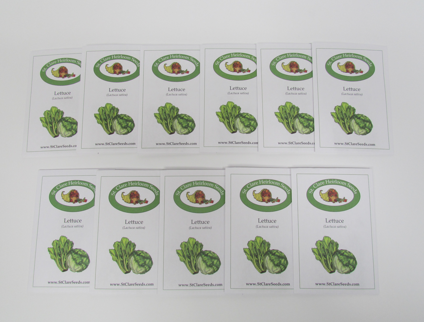 "Heirloom Lettuce Garden Seed Collection – St. Clare Heirloom Seeds"
