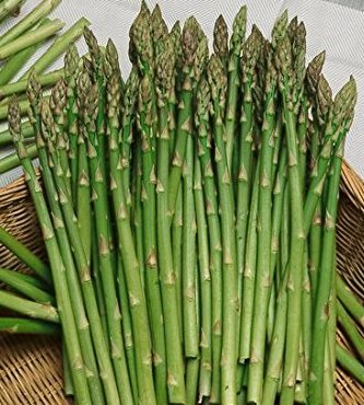 Heirloom Asparagus Planting Guide