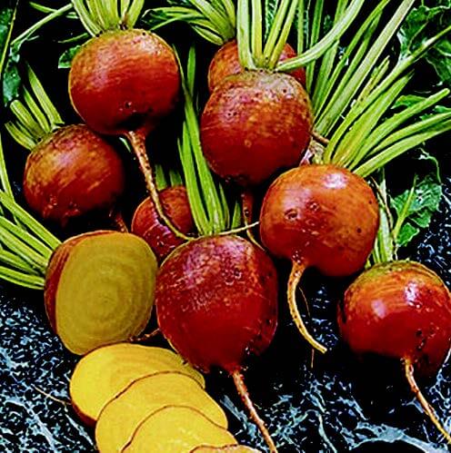Heirloom Beet Planting Guide: From Seed to Harvest