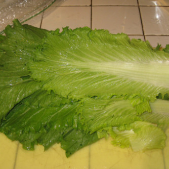 Heirloom Chinese Cabbage Planting Guide: From Seed to Harvest
