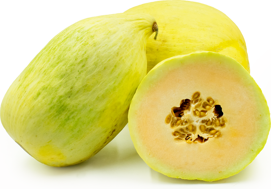 Heirloom Cantaloupe Planting Guide: From Seed to Harvest