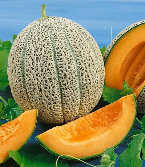 Heirloom Cantaloupe Planting Guide: From Seed to Harvest