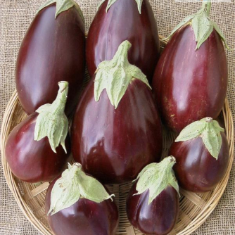 Heirloom Eggplant Planting Guide: From Seed to Harvest