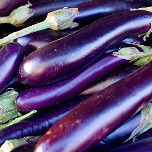 Heirloom Eggplant Planting Guide: From Seed to Harvest