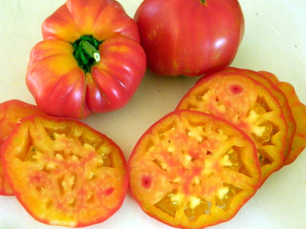 Heirloom Tomato Planting Guide: From Seed to Harvest