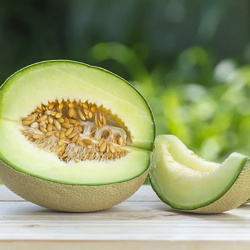 Heirloom Cantaloupe Planting Guide: From Seed to Harvest
