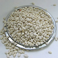 Heirloom seeds for planting – dried white beans displayed in a metal bowl