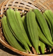 Heirloom Okra Planting Guide: From Seed to Harvest