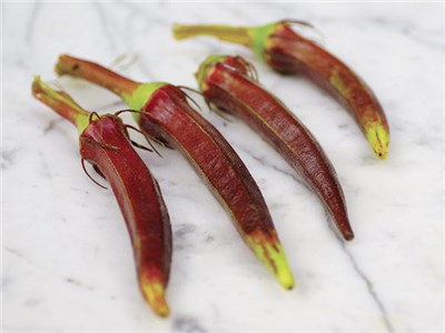 Heirloom Okra Planting Guide: From Seed to Harvest