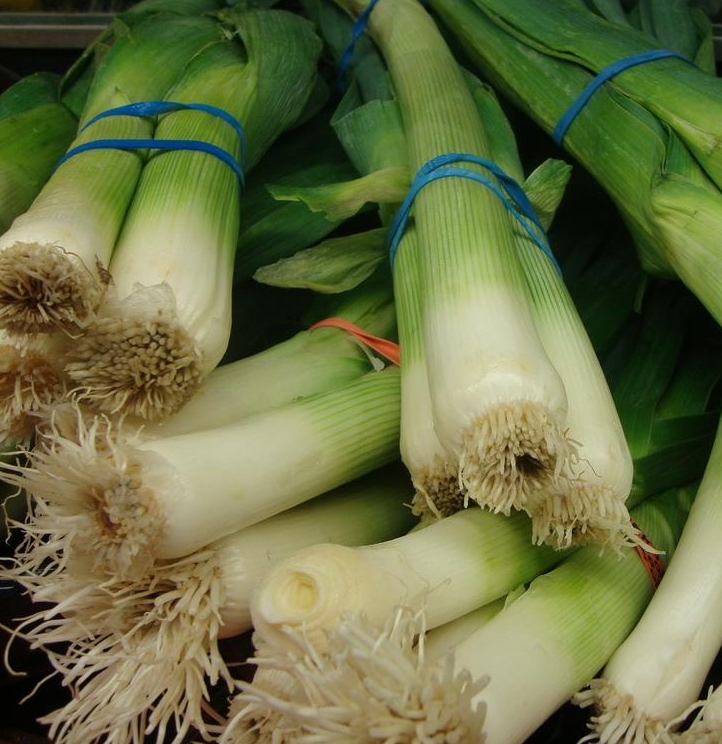 Heirloom Onion Planting Guide: From Seed to Harvest