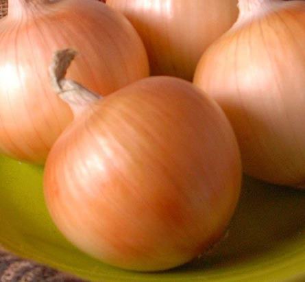 Heirloom Onion Planting Guide: From Seed to Harvest
