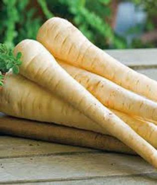Heirloom Parsnip Planting Guide: From Seed to Harvest