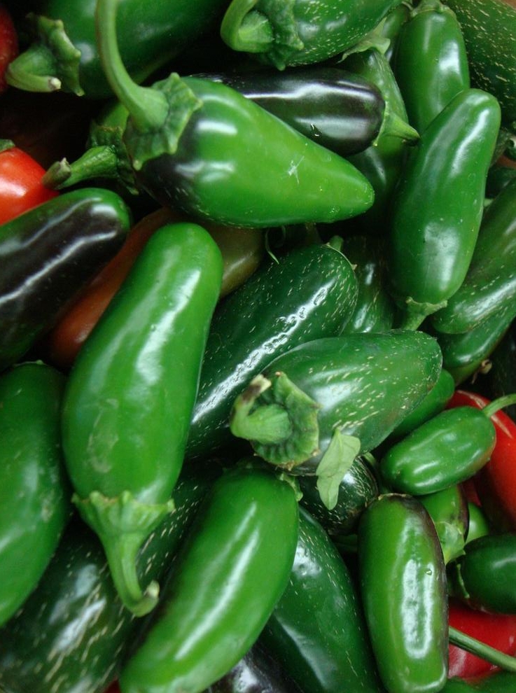 Heirloom Hot Pepper Planting Guide: From Seed to Harvest