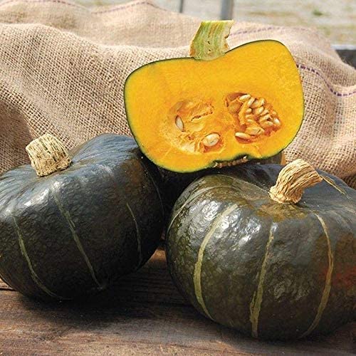 Heirloom Winter Squash Planting Guide: From Seed to Harvest