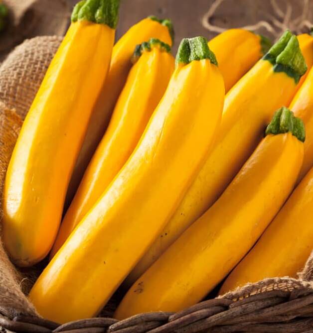 Heirloom Summer Squash Planting Guide: From Seed to Harvest