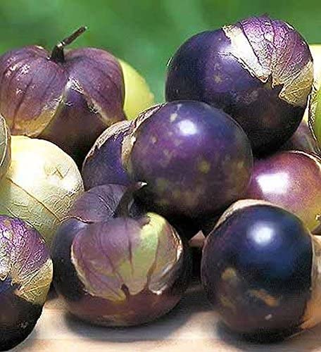 Heirloom Tomatillo Planting Guide: From Seed to Harvest