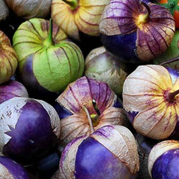 Heirloom Tomatillo Planting Guide: From Seed to Harvest