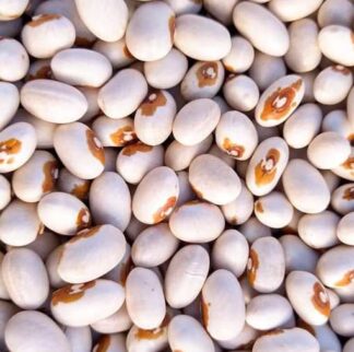 Bean - Yellow Eye