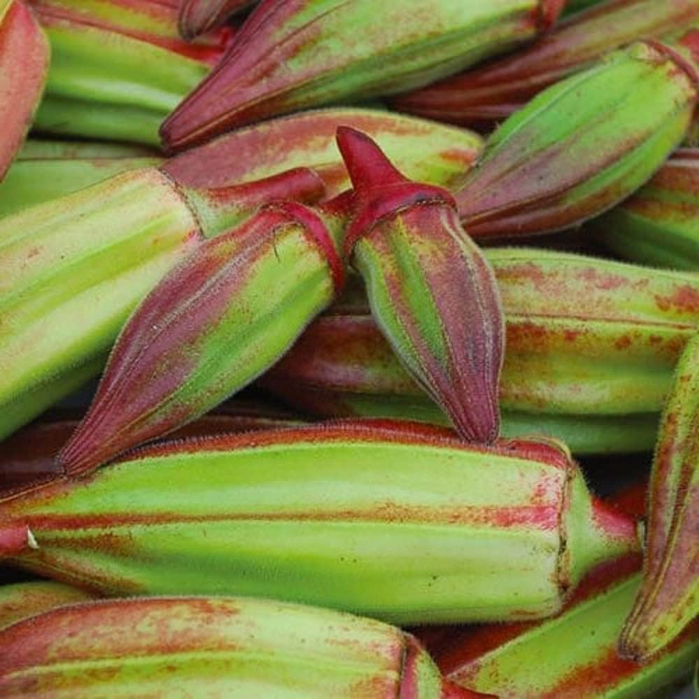 Hill Country Red Okra