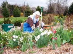 The Poor Clare Nun - A True Gift to God