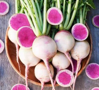 Radish - Watermelon Radish