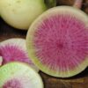 Radish - Watermelon Radish