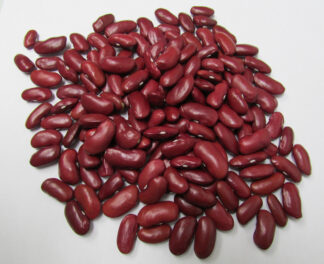 Bean - Dark Red Kidney - Bulk