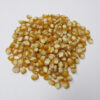 Golden Bantam Improved Sweet Corn - St. Clare Heirloom Seeds