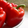 Pepper, Sweet - Big Red Sweet Bell Pepper - St. Clare Heirloom Seeds