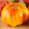 Tomato, Yellow, Red, Mix - Hillbilly Tomato - St. Clare heirloom Seeds