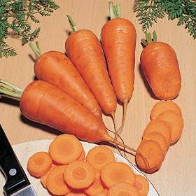 Freshly harvested carrots from the fall garden, laid out on a wooden cutting board.